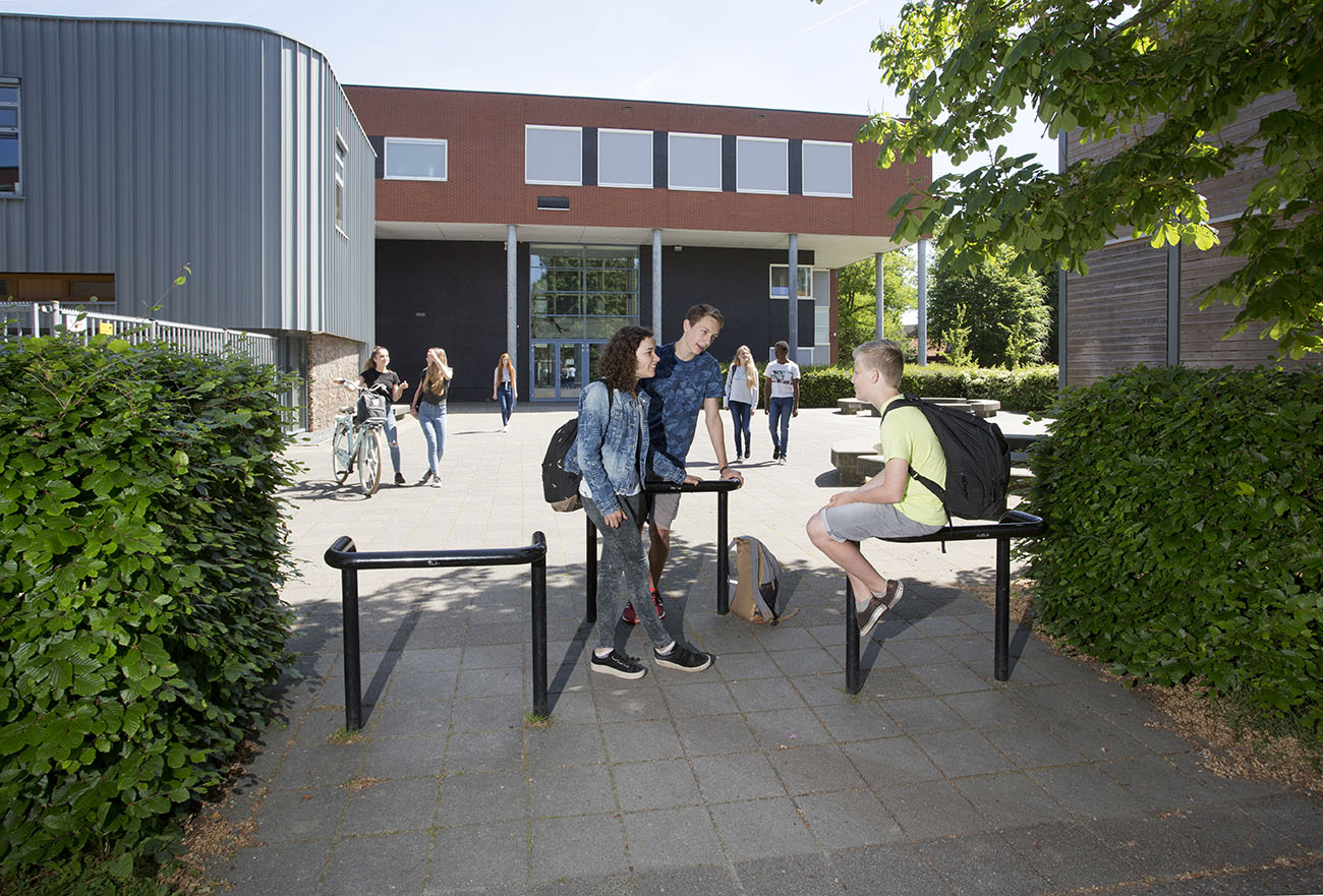 Organisatie