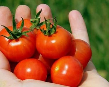 Afbeelding tomaten